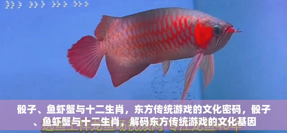 骰子、魚蝦蟹與十二生肖，東方傳統游戲的文化密碼，骰子、魚蝦蟹與十二生肖，解碼東方傳統游戲的文化基因