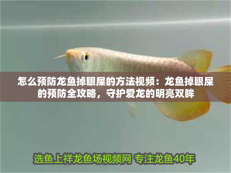 怎么預防龍魚掉眼屎的方法視頻：龍魚掉眼屎的預防全攻略，守護愛龍的明亮雙眸
