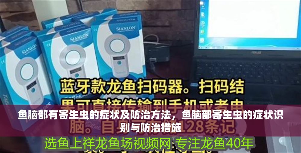 魚腦部有寄生蟲的癥狀及防治方法，魚腦部寄生蟲的癥狀識(shí)別與防治措施