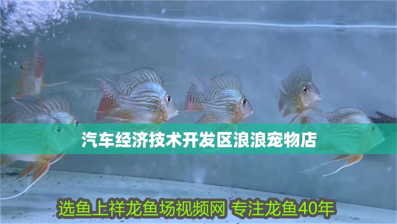 汽車經(jīng)濟(jì)技術(shù)開(kāi)發(fā)區(qū)浪浪寵物店 全國(guó)水族館企業(yè)名錄 第1張 汽車經(jīng)濟(jì)技術(shù)開(kāi)發(fā)區(qū)浪浪寵物店 汽車經(jīng)濟(jì)技術(shù)開(kāi)發(fā)區(qū)浪浪寵物店 全國(guó)水族館企業(yè)名錄 第1張