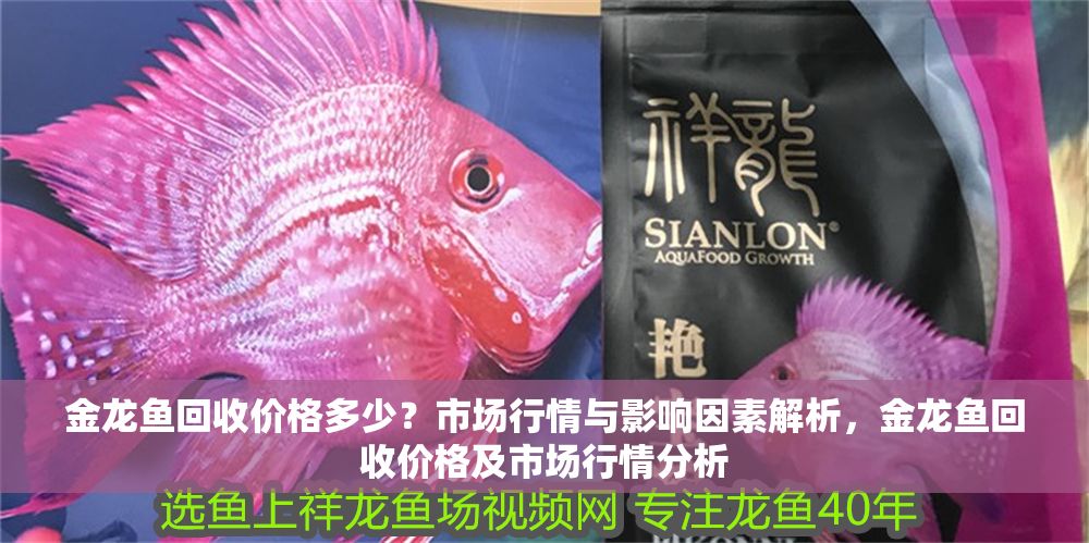 金龍魚回收價(jià)格多少？市場(chǎng)行情與影響因素解析，金龍魚回收價(jià)格及市場(chǎng)行情分析