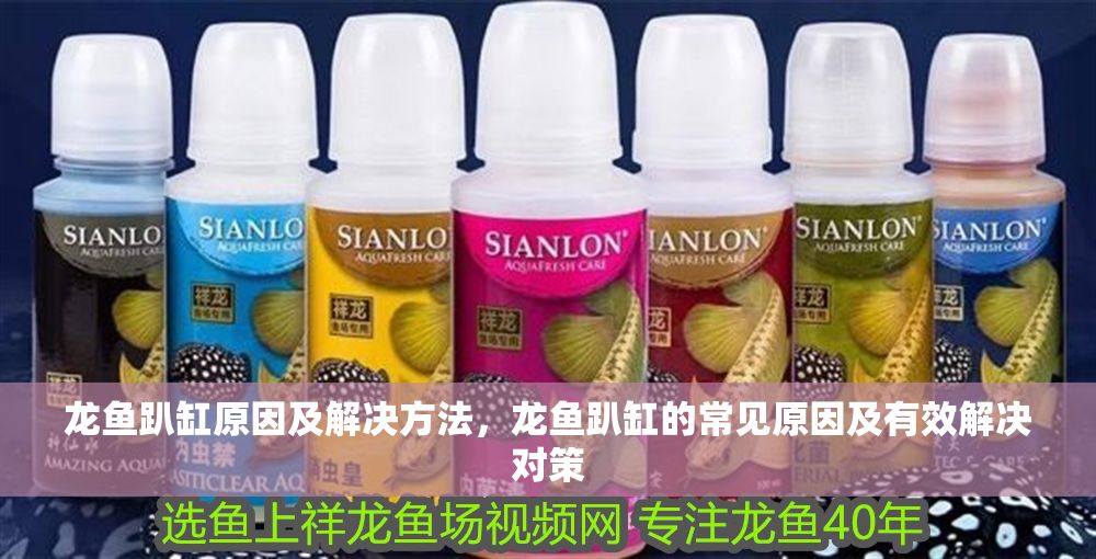 龍魚趴缸原因及解決方法，龍魚趴缸的常見原因及有效解決對(duì)策