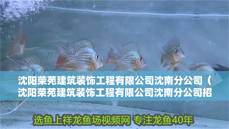 沈陽榮苑建筑裝飾工程有限公司沈南分公司（沈陽榮苑建筑裝飾工程有限公司沈南分公司招聘）