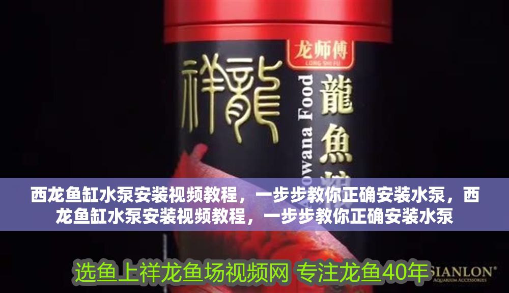 西龍魚缸水泵安裝視頻教程，一步步教你正確安裝水泵，西龍魚缸水泵安裝視頻教程，一步步教你正確安裝水泵