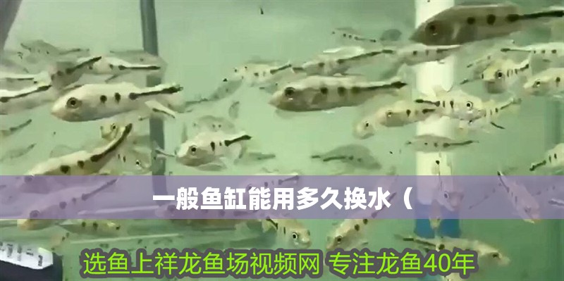 一般魚缸能用多久換水（