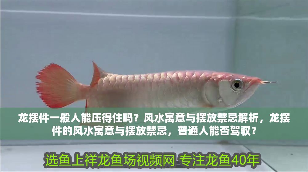 龍擺件一般人能壓得住嗎？風水寓意與擺放禁忌解析，龍擺件的風水寓意與擺放禁忌，普通人能否駕馭？ 龍擺件一般人能壓得住嗎？風水寓意與擺放禁忌解析，龍擺件的風水寓意與擺放禁忌，普通人能否駕馭？ 龍魚百科 第1張