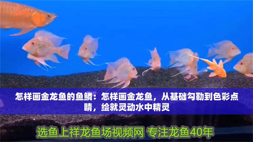 怎樣畫金龍魚的魚鱗：怎樣畫金龍魚，從基礎勾勒到色彩點睛，繪就靈動水中精靈