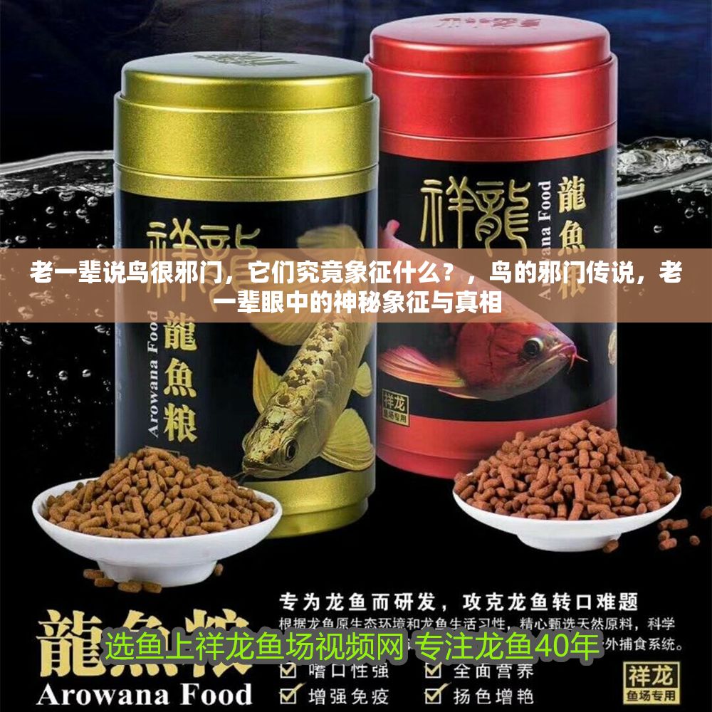 老一輩說鳥很邪門，它們究竟象征什么？，鳥的邪門傳說，老一輩眼中的神秘象征與真相