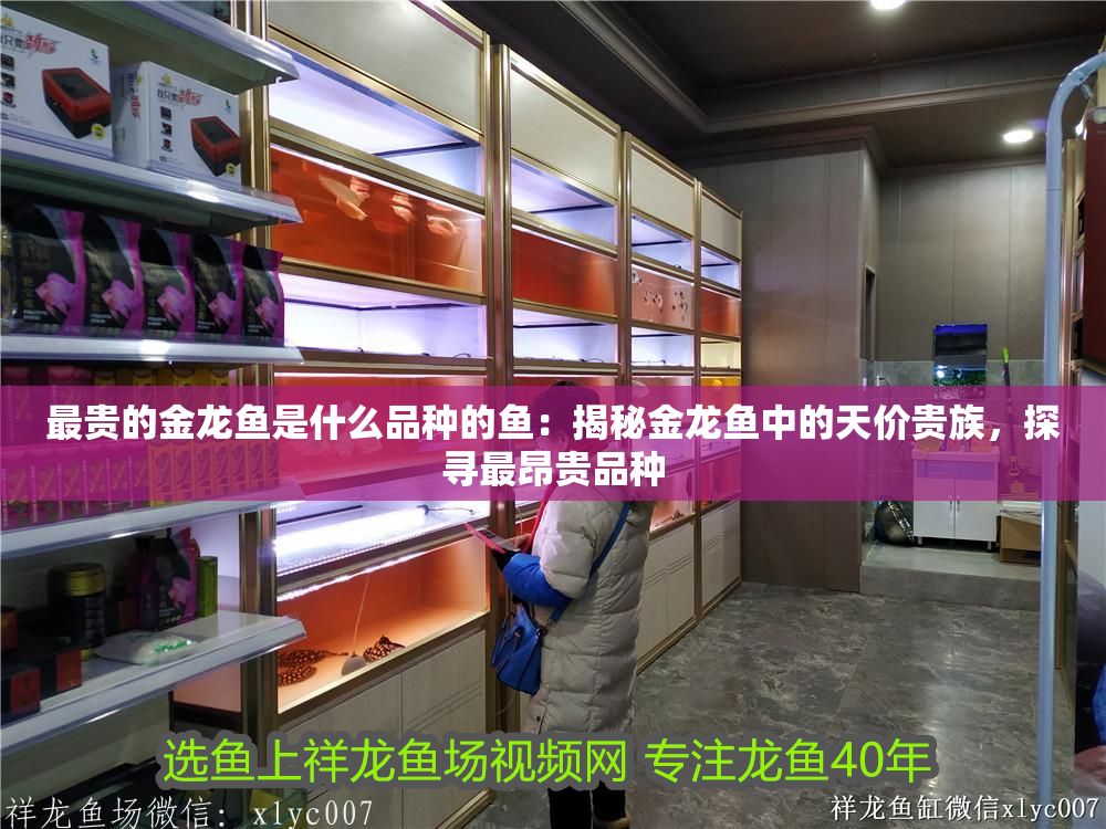 最貴的金龍魚是什么品種的魚：揭秘金龍魚中的天價貴族，探尋最昂貴品種