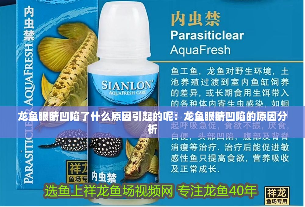 龍魚眼睛凹陷了什么原因引起的呢：龍魚眼睛凹陷的原因分析