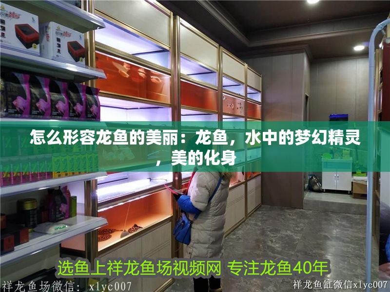 怎么形容龍魚的美麗：龍魚，水中的夢幻精靈，美的化身