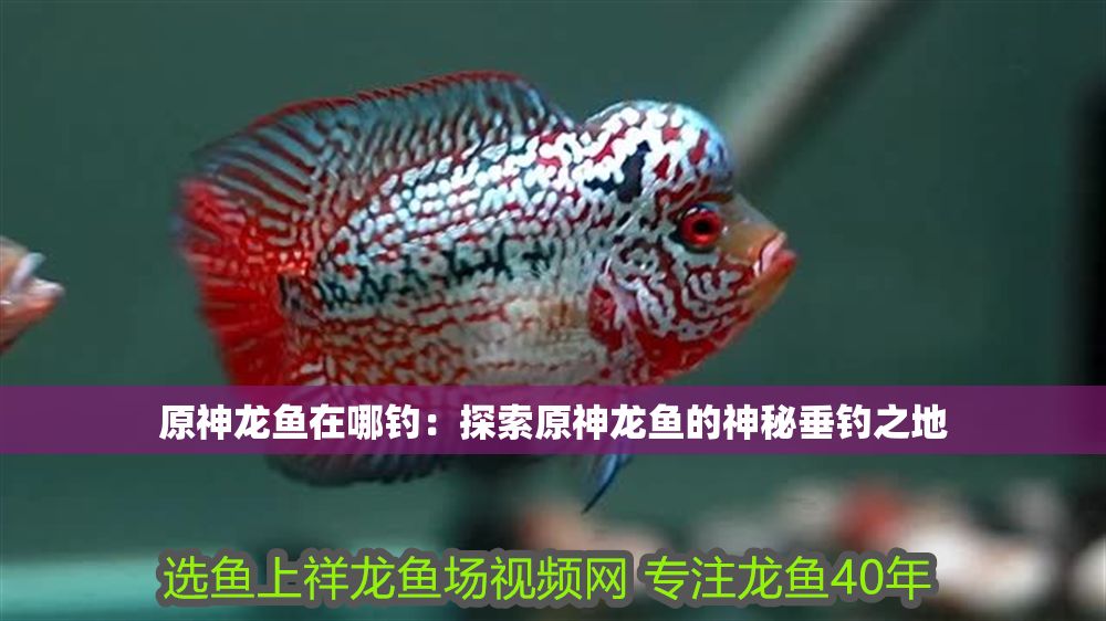 原神龍魚在哪釣：探索原神龍魚的神秘垂釣之地