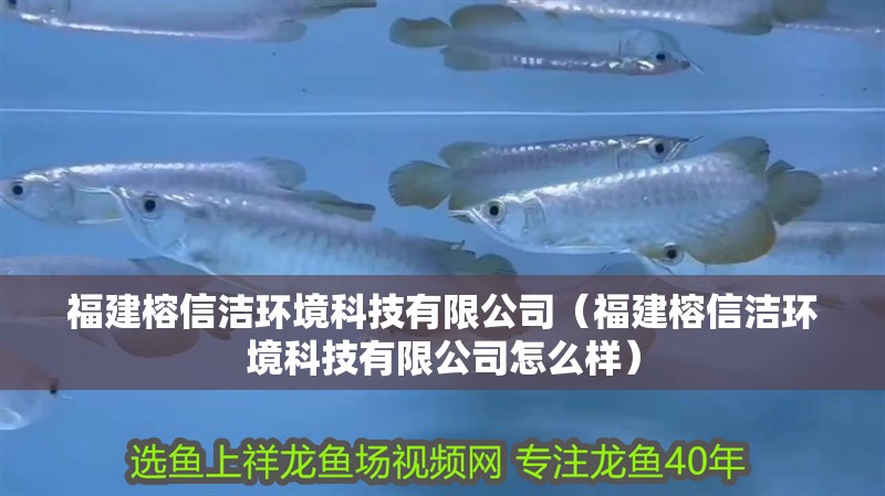 福建榕信潔環(huán)境科技有限公司（福建榕信潔環(huán)境科技有限公司怎么樣）