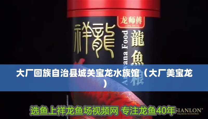 龍魚干蝦有營養嗎 大廠回族自治縣城關寶龍水族館(大廠美寶龍) 全國水族館企業名錄 大廠回族自治縣城關寶龍水族館(大廠美寶龍) 大廠回族自治縣城關寶龍水族館(大廠美寶龍) 全國水族館企業名錄