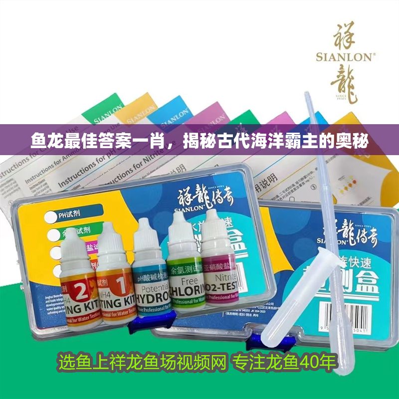 魚(yú)龍最佳答案一肖，揭秘古代海洋霸主的奧秘
