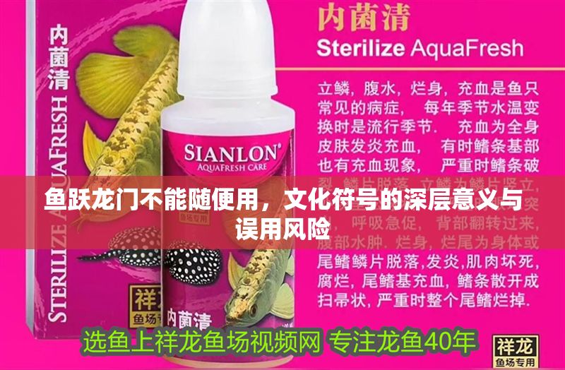 魚躍龍門不能隨便用，文化符號的深層意義與誤用風險