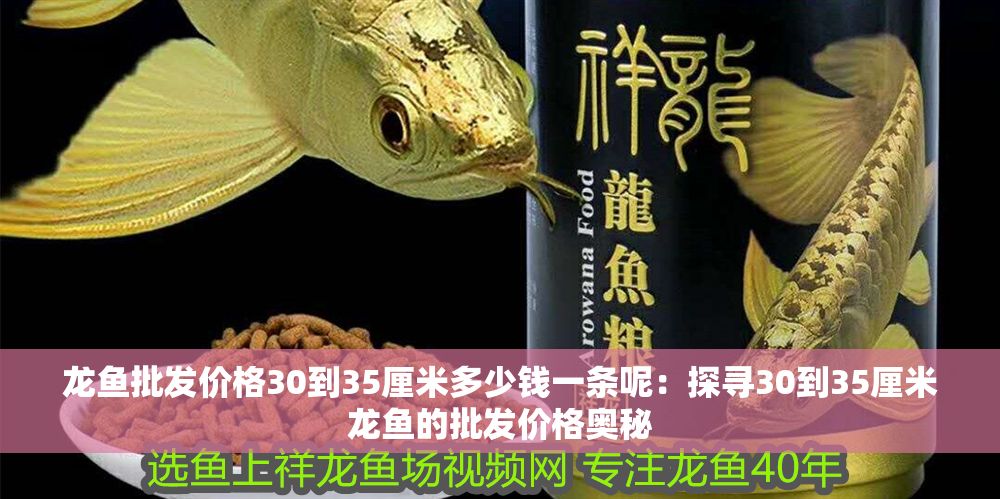 龍魚(yú)批發(fā)價(jià)格30到35厘米多少錢一條呢：探尋30到35厘米龍魚(yú)的批發(fā)價(jià)格奧秘