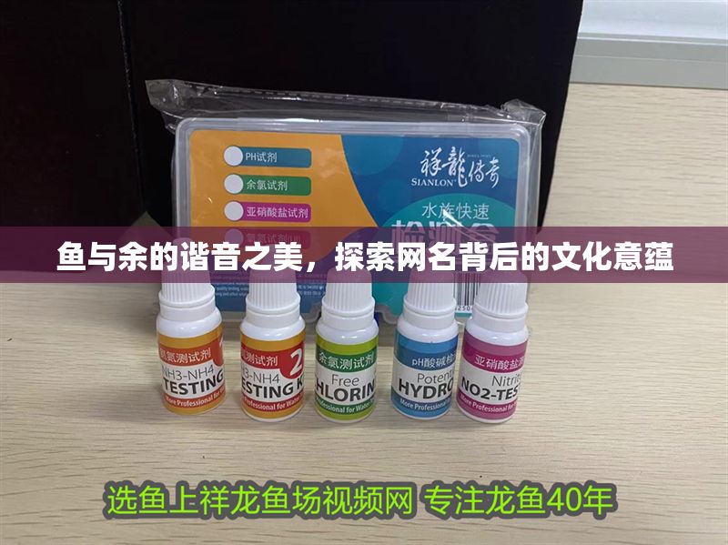 魚與余的諧音之美，探索網名背后的文化意蘊