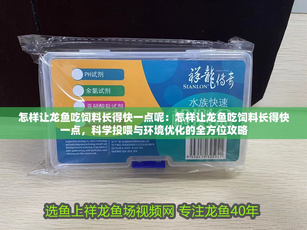 怎樣讓龍魚吃飼料長得快一點呢：怎樣讓龍魚吃飼料長得快一點，科學投喂與環境優化的全方位攻略
