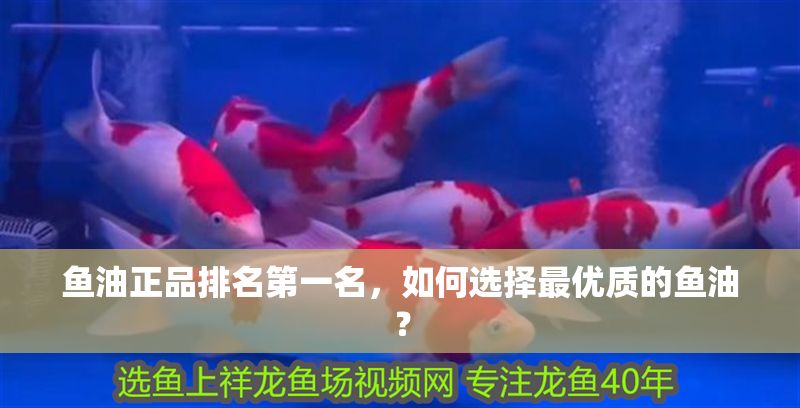 魚油正品排名第一名，如何選擇最優(yōu)質(zhì)的魚油？