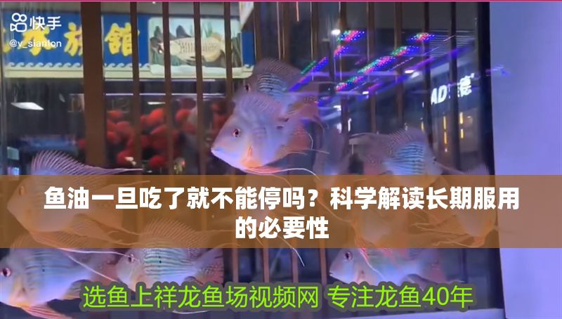 魚油一旦吃了就不能停嗎？科學解讀長期服用的必要性