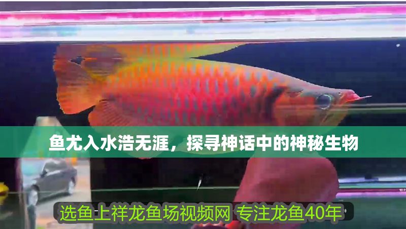 魚尤入水浩無涯，探尋神話中的神秘生物