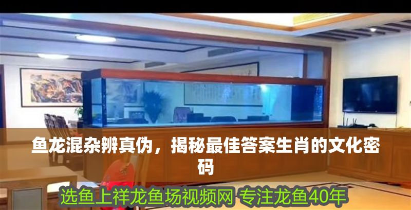 魚龍混雜辨真偽，揭秘最佳答案生肖的文化密碼 魚龍混雜辨真偽，揭秘最佳答案生肖的文化密碼 龍魚百科 第1張