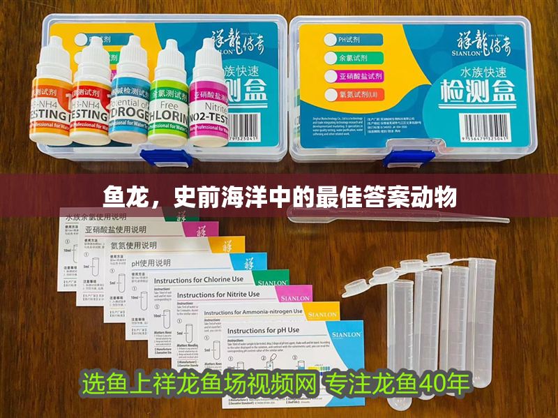 魚龍，史前海洋中的最佳答案動物