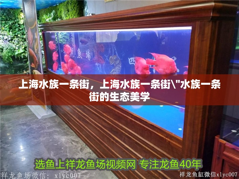 上海水族一條街，上海水族一條街\