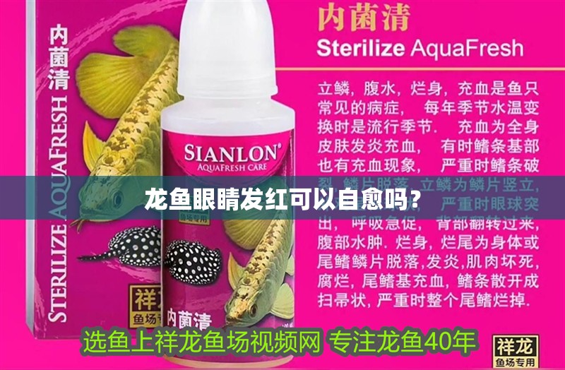 龍魚眼睛發紅可以自愈嗎？