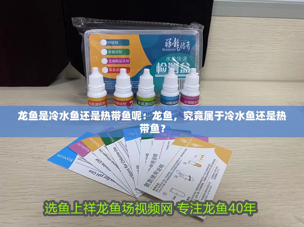 龍魚是冷水魚還是熱帶魚呢：龍魚，究竟屬于冷水魚還是熱帶魚？