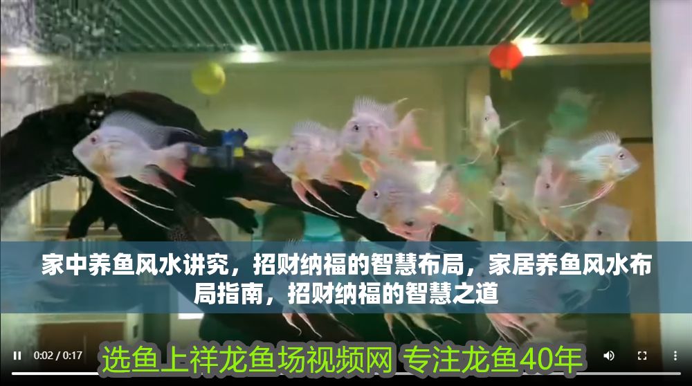 家中養(yǎng)魚風水講究，招財納福的智慧布局，家居養(yǎng)魚風水布局指南，招財納福的智慧之道 家中養(yǎng)魚風水講究，招財納福的智慧布局，家居養(yǎng)魚風水布局指南，招財納福的智慧之道 龍魚百科 第1張