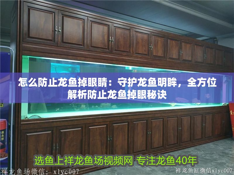 怎么防止龍魚掉眼睛：守護(hù)龍魚明眸，全方位解析防止龍魚掉眼秘訣