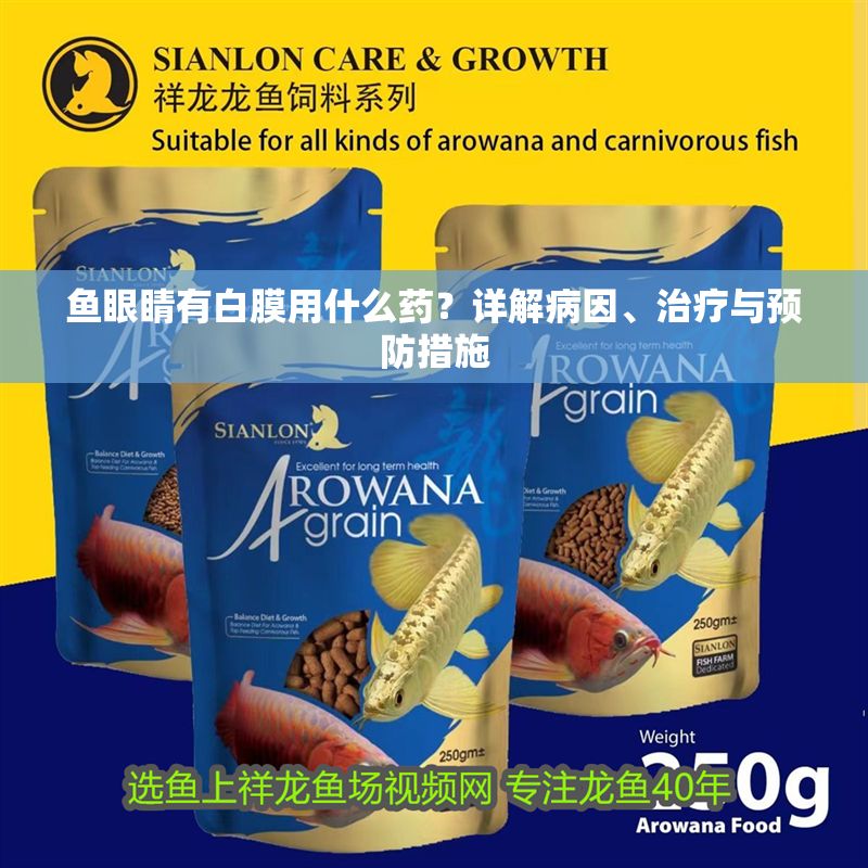 魚眼睛有白膜用什么藥？詳解病因、治療與預防措施 魚眼睛有白膜用什么藥？詳解病因、治療與預防措施 龍魚百科 第1張