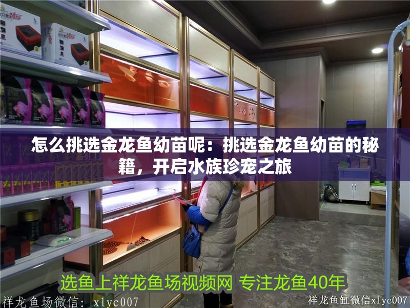 怎么挑選金龍魚幼苗呢：挑選金龍魚幼苗的秘籍，開啟水族珍寵之旅