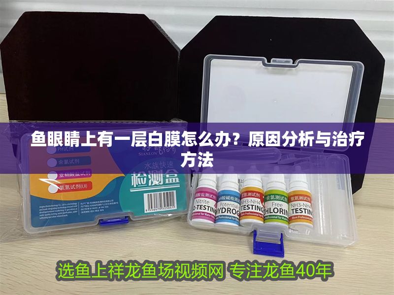 魚眼睛上有一層白膜怎么辦？原因分析與治療方法