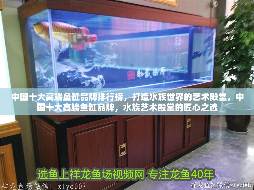 中國十大高端魚缸品牌排行榜，打造水族世界的藝術殿堂，中國十大高端魚缸品牌，水族藝術殿堂的匠心之選