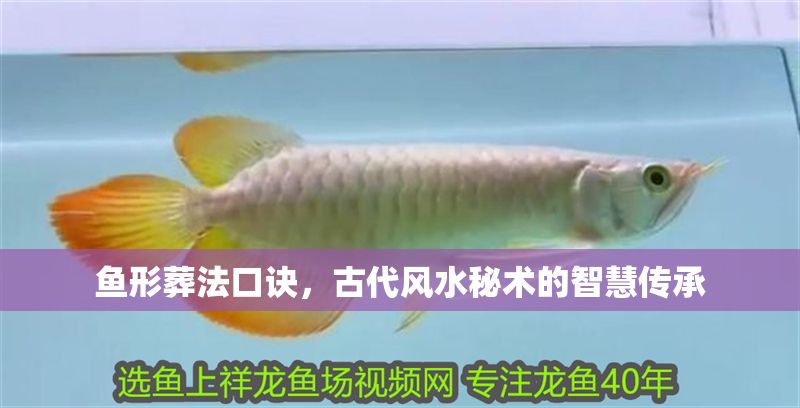 魚形葬法口訣，古代風(fēng)水秘術(shù)的智慧傳承
