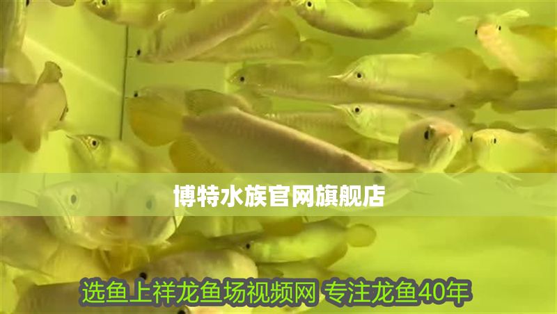 博特水族官網旗艦店