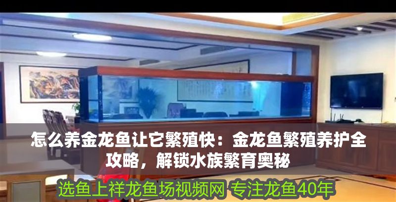 怎么養(yǎng)金龍魚讓它繁殖快：金龍魚繁殖養(yǎng)護全攻略，解鎖水族繁育奧秘