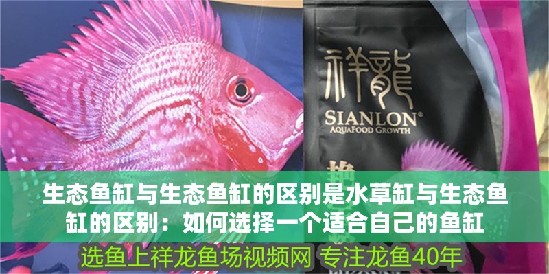 生態魚缸與生態魚缸的區別是水草缸與生態魚缸的區別：如何選擇一個適合自己的魚缸