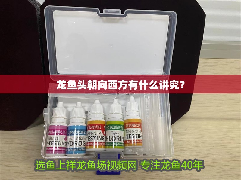 龍魚頭朝向西方有什么講究？