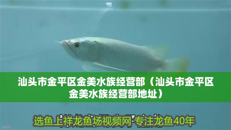 汕頭市金平區金美水族經營部（汕頭市金平區金美水族經營部地址）