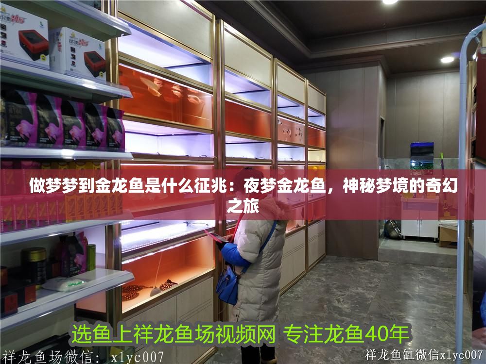 做夢夢到金龍魚是什么征兆：夜夢金龍魚，神秘夢境的奇幻之旅