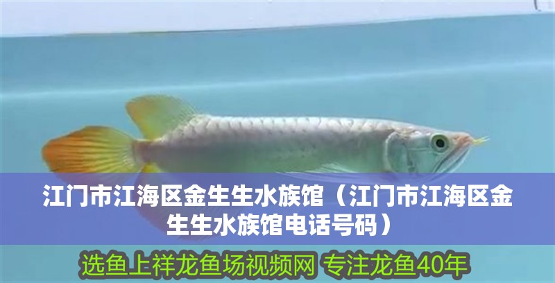 江門市江海區金生生水族館（江門市江海區金生生水族館電話號碼）