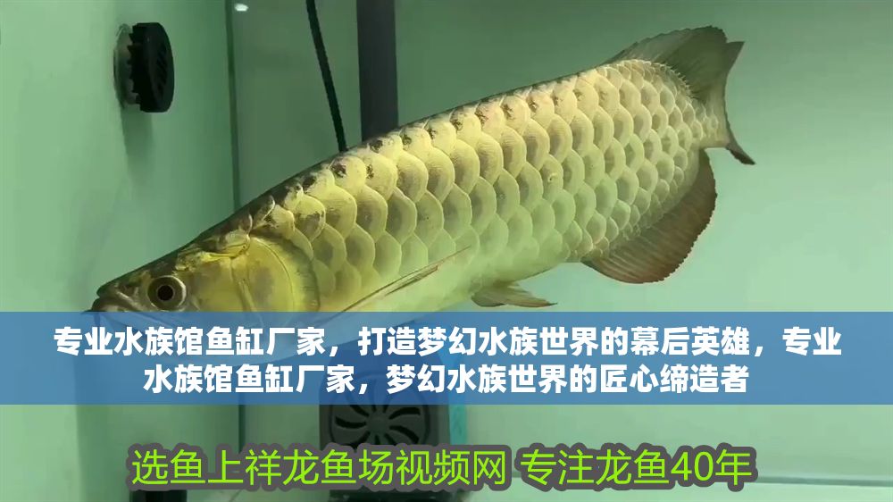 專業水族館魚缸廠家，打造夢幻水族世界的幕后英雄，專業水族館魚缸廠家，夢幻水族世界的匠心締造者