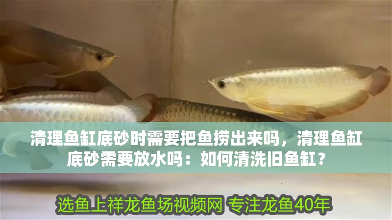 清理魚(yú)缸底砂時(shí)需要把魚(yú)撈出來(lái)嗎，清理魚(yú)缸底砂需要放水嗎：如何清洗舊魚(yú)缸？