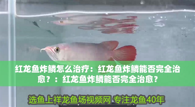 紅龍魚炸鱗怎么治療：紅龍魚炸鱗能否完全治愈？：紅龍魚炸鱗能否完全治愈？