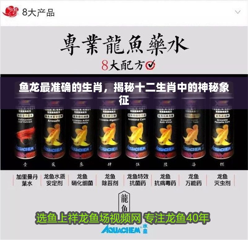 魚龍最準確的生肖，揭秘十二生肖中的神秘象征 魚龍最準確的生肖，揭秘十二生肖中的神秘象征 龍魚百科 第1張