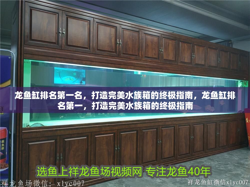 龍魚缸排名第一名，打造完美水族箱的終極指南，龍魚缸排名第一，打造完美水族箱的終極指南